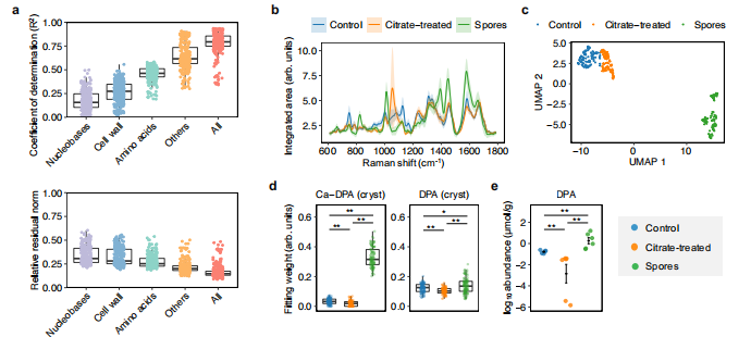 figure2.png